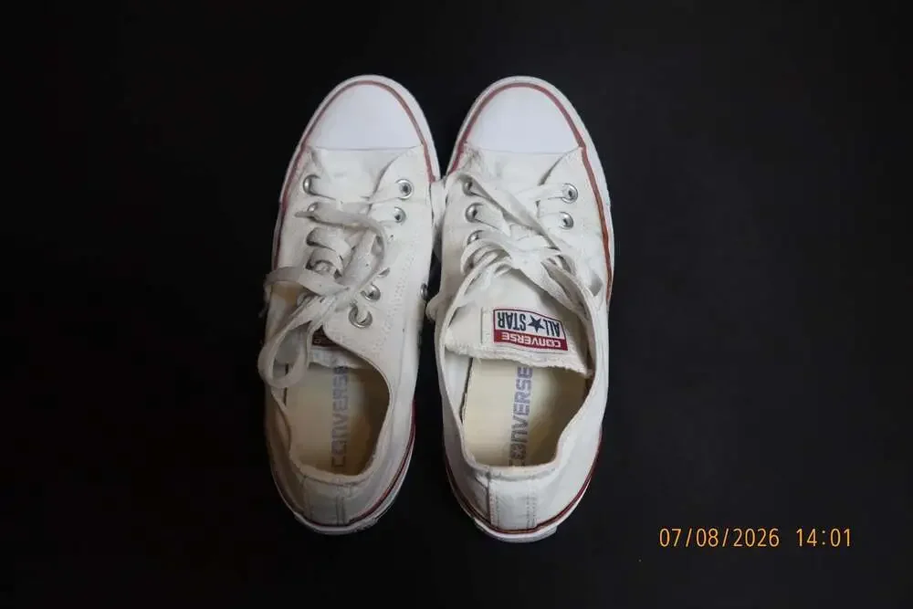 Converse Chuck Taylor All Star Low Top Optical White Sneakers M7652